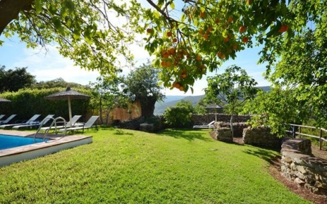 Naranjos junto a la piscina y clementinas